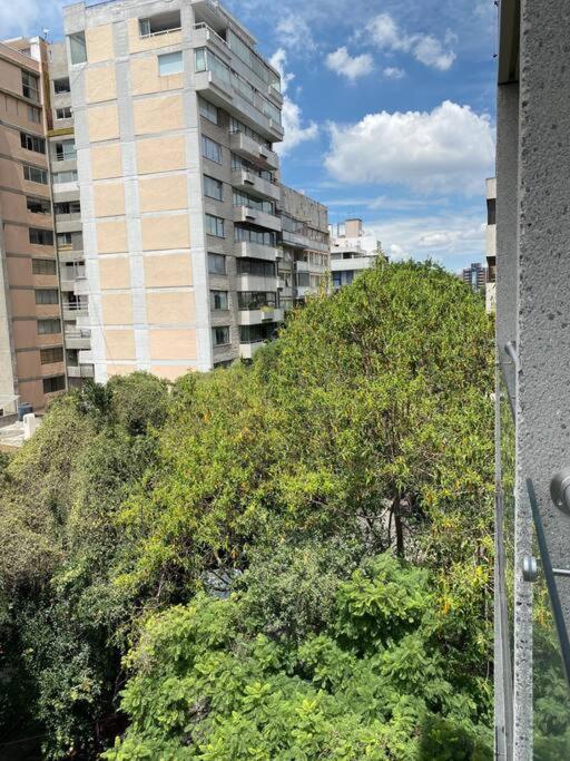 Black Loft. Moderno Y Nuevo, Super Ubicado. Meksika Dış mekan fotoğraf