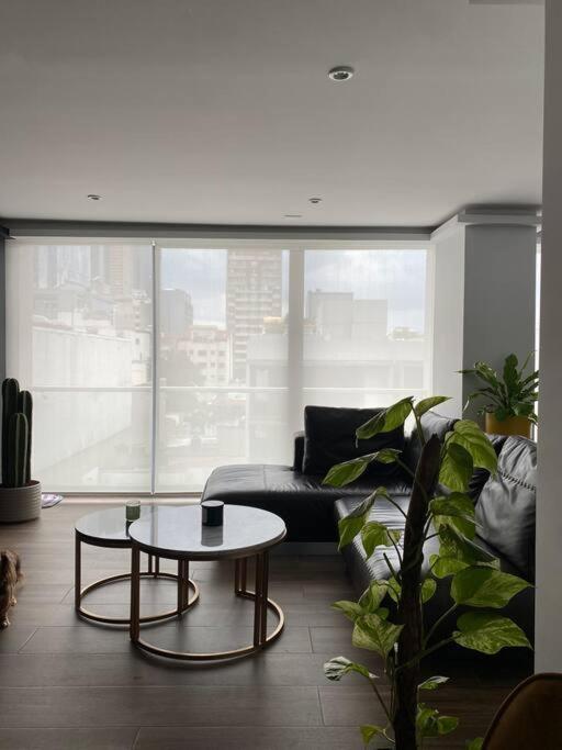Black Loft. Moderno Y Nuevo, Super Ubicado. Meksika Dış mekan fotoğraf