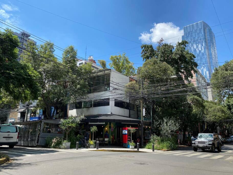 Black Loft. Moderno Y Nuevo, Super Ubicado. Meksika Dış mekan fotoğraf