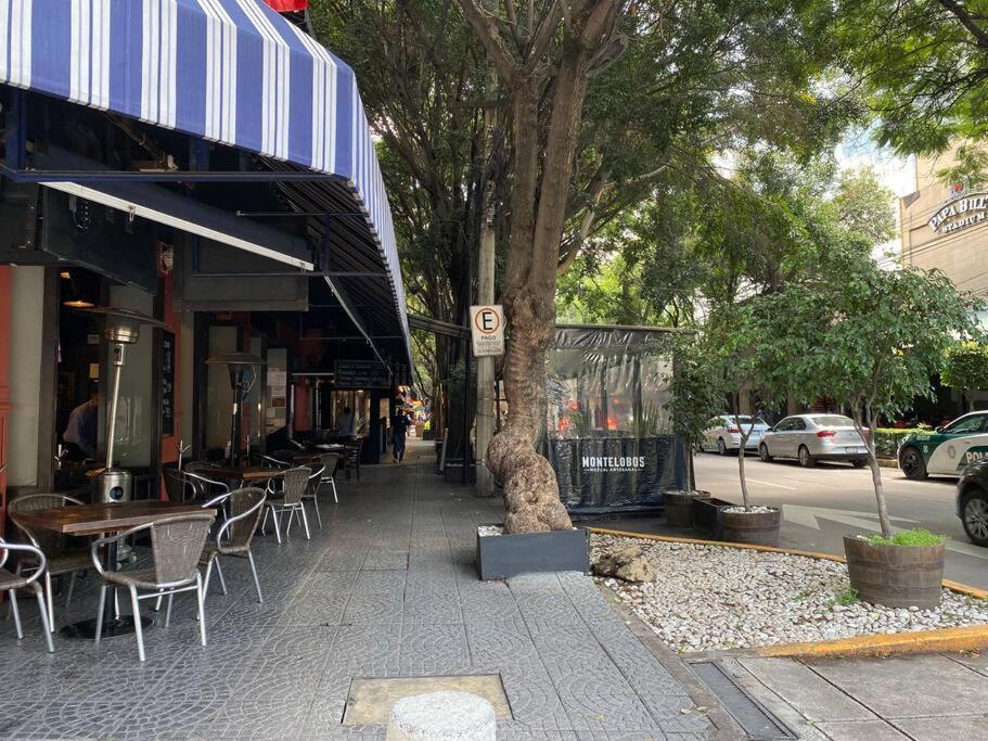 Black Loft. Moderno Y Nuevo, Super Ubicado. Meksika Dış mekan fotoğraf